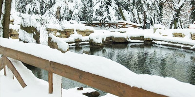 Wie man nach dem Winter einen Teich neustartet