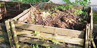 Wie richtig kompostieren und einen Kompostbeschleuniger verwenden?