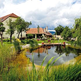 Bioenzymatischer Reiniger für Ihren GARTENTEICH MIT EINER FLÄCHE VON 100m2+ 1000g