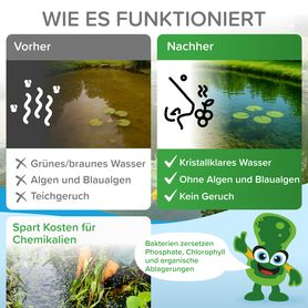 Bioenzymatischer Reiniger für Ihre GARTENTEICH (Sommer) 500g